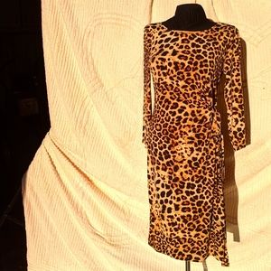 NWT Leopard print long sleeve ❄ Jones NY Dress NWT